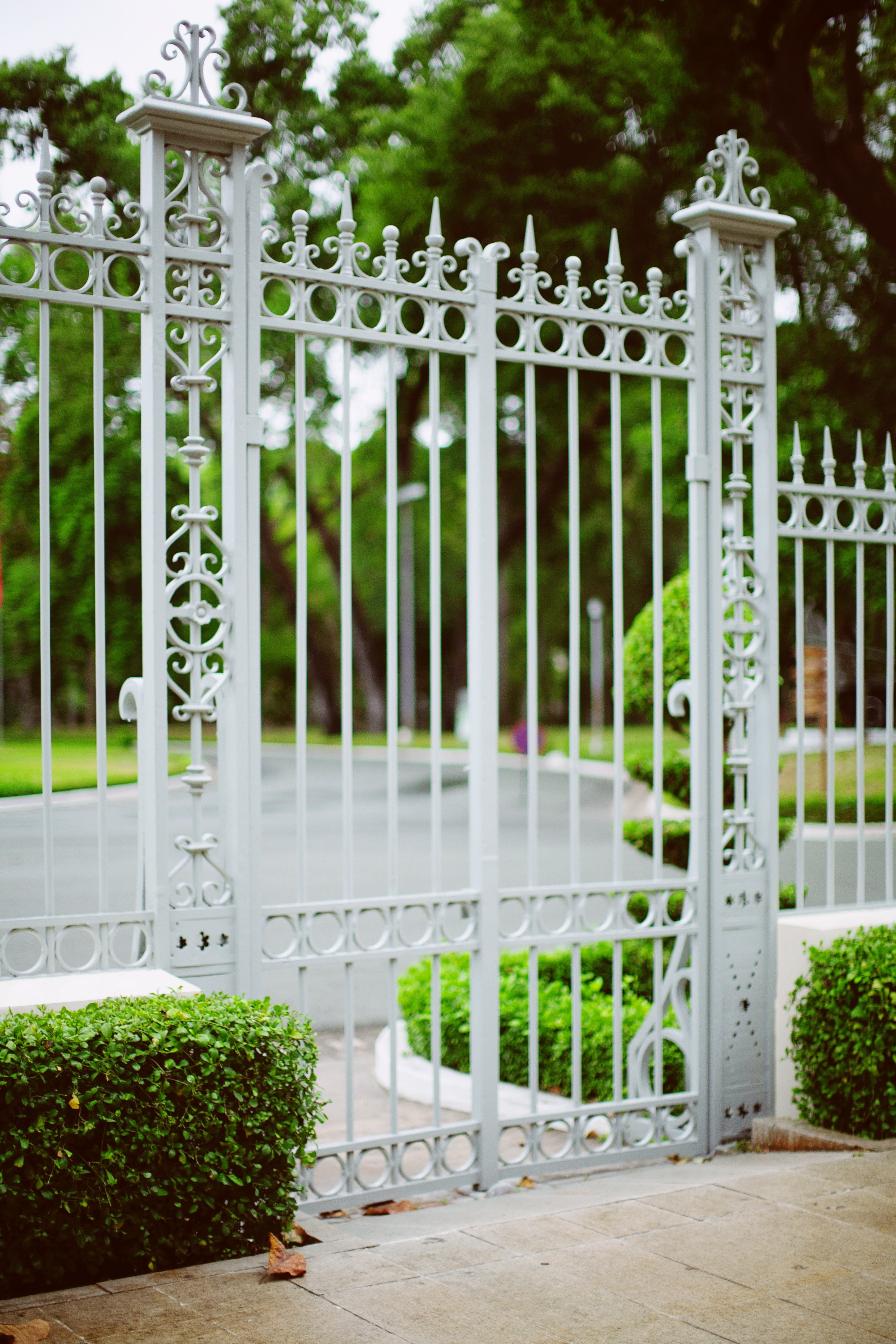 White Metal Gate w/2 plant hedge on the side